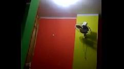 मेरा लंड था चूत का प्यासा