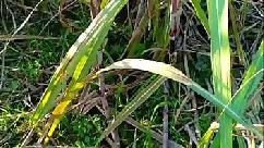 चचेरे भाई ने मुझे मेरे ही घर में कसके चोद लिया