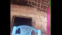 गाय या भैंस-3