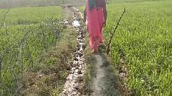 कॉलेज की लड़की की अन्तर्वासना मिटाई